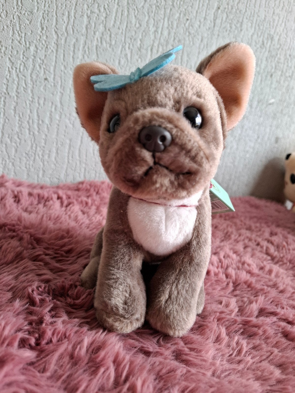 Schattige Franse Bulldog knuffel - Studio Pets by Myrna, Overige merken, Overige karakters, Klein (minder dan 20 cm), Bruin