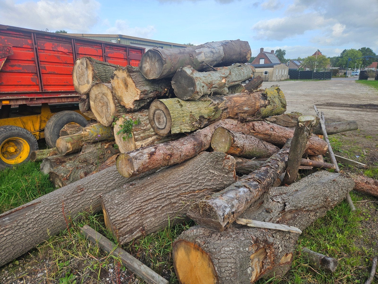 Haardhout stammen - Diverse houtsoorten, 3 tot 6 m³, Ophalen of Verzenden, Overige houtsoorten, Stammen