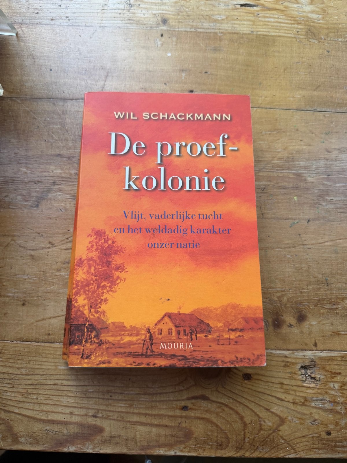 De proefkolonie - Wil Schackmann (Geschiedenis), Ophalen of Verzenden, Zo goed als nieuw, Nederland