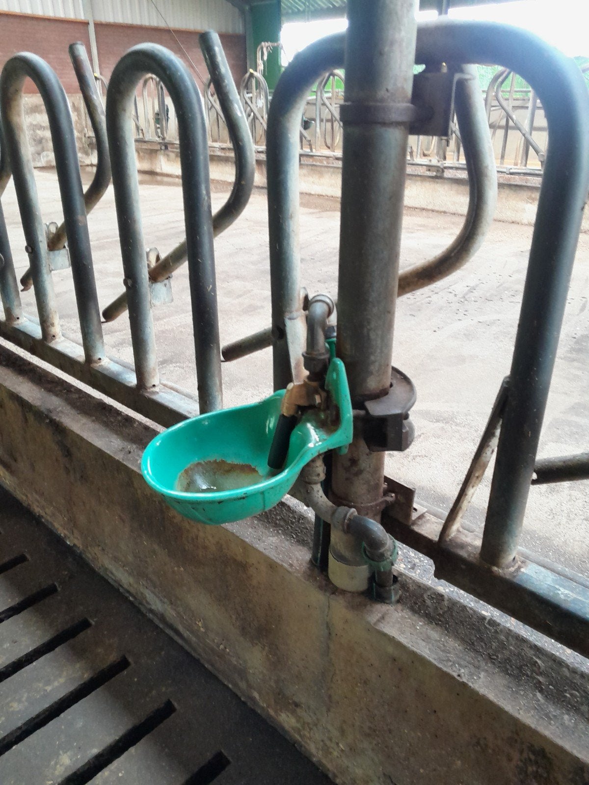 Te koop drinkbakjes, Dieren en Toebehoren