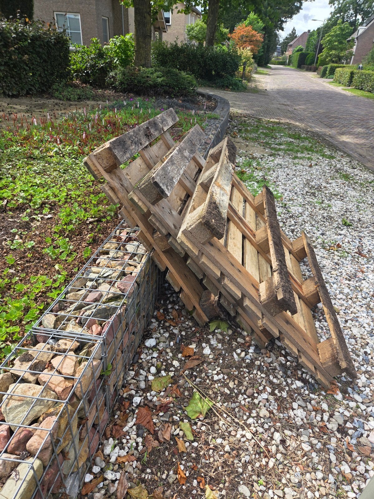 3 pallets hout gratis, Ophalen, Overige houtsoorten, Minder dan 200 cm, Pallet