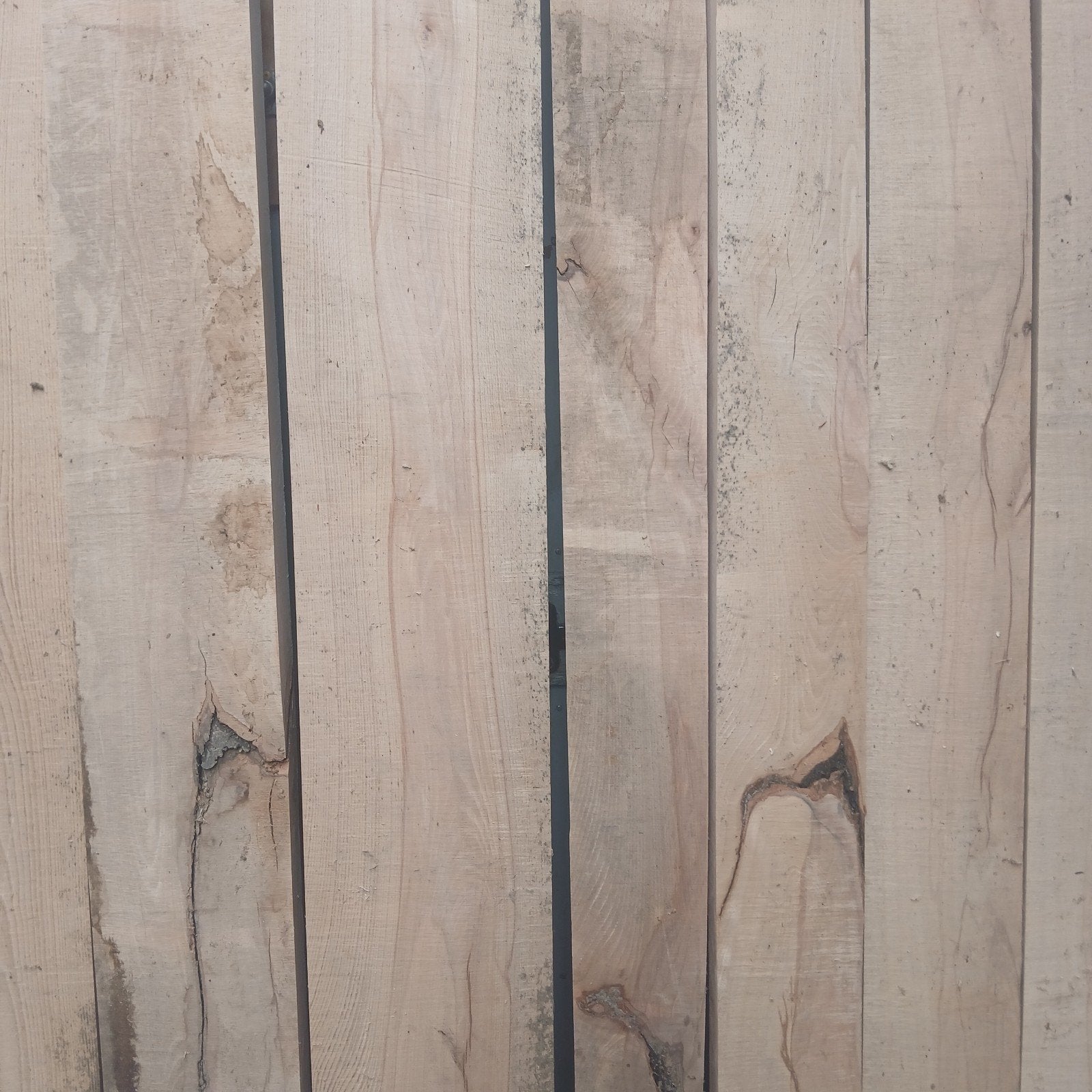 Droge beuken balken 700 ex btw kuub, Ophalen, Nieuw, 250 cm of meer, Balken