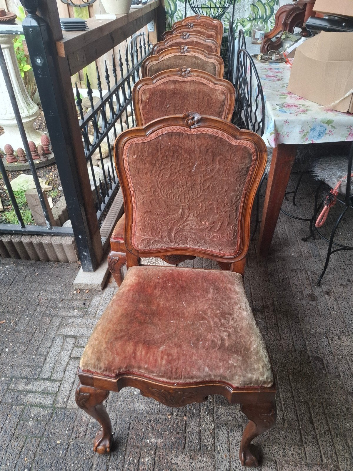 6 Prachtige Chippendale stoelen met klauwpoten en mahonie, Ophalen of Verzenden