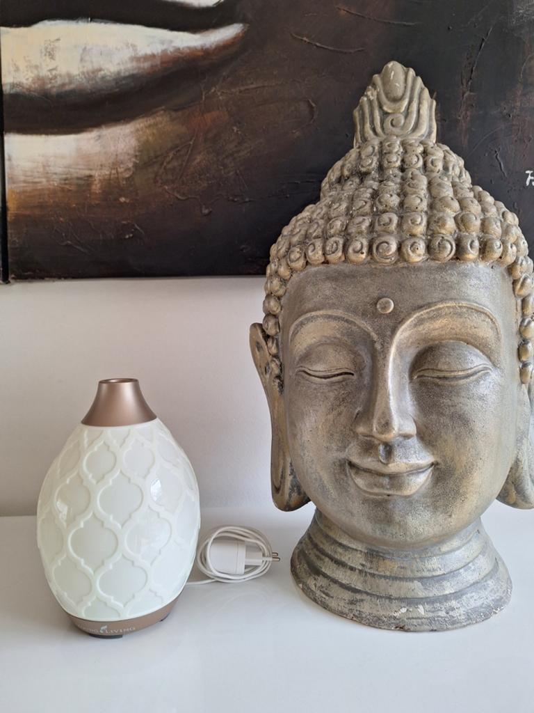 Young Living Diffuser - Elegante Aroma Diffuser, Huis en Inrichting, Overige Huis en Inrichting, Zo goed als nieuw, Ophalen of Verzenden