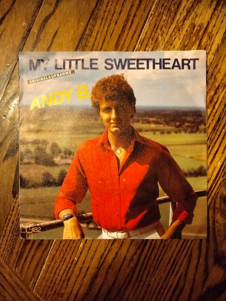 Andy B, Cd's en Dvd's, Vinyl | Nederlandstalig, Ophalen of Verzenden, Gebruikt, Overige formaten, Levenslied of Smartlap