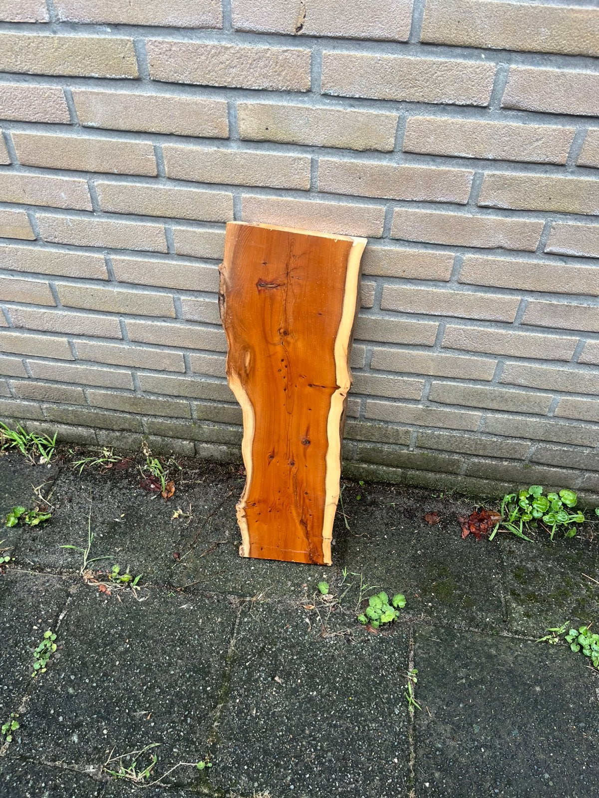 Schaaldeel wandplank geschaafd taxus, Doe-het-zelf en Verbouw, Hout en Planken, Ophalen of Verzenden, Zo goed als nieuw, 50 mm of meer