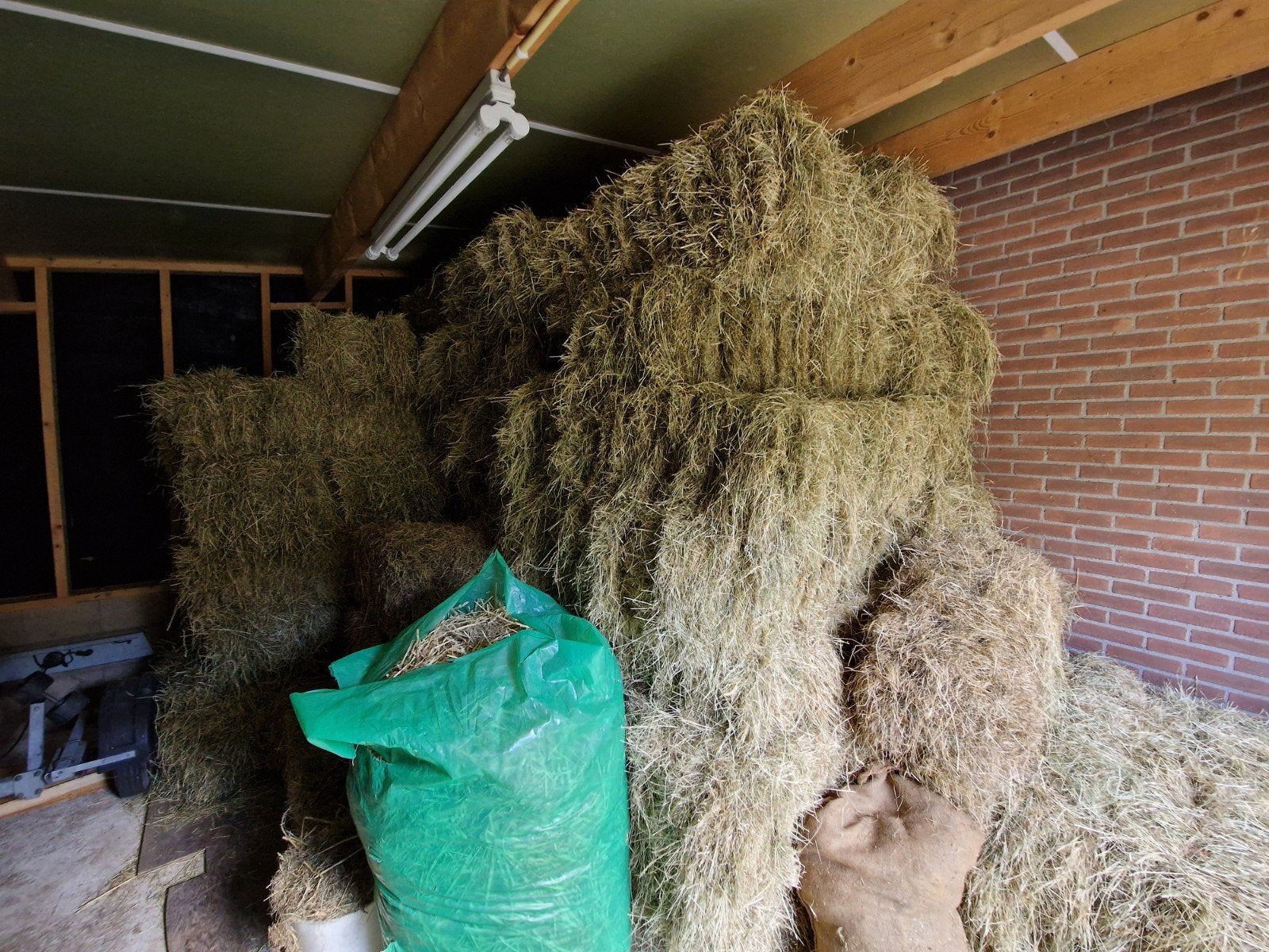 Goed hooi voor schaap en paard, Ophalen