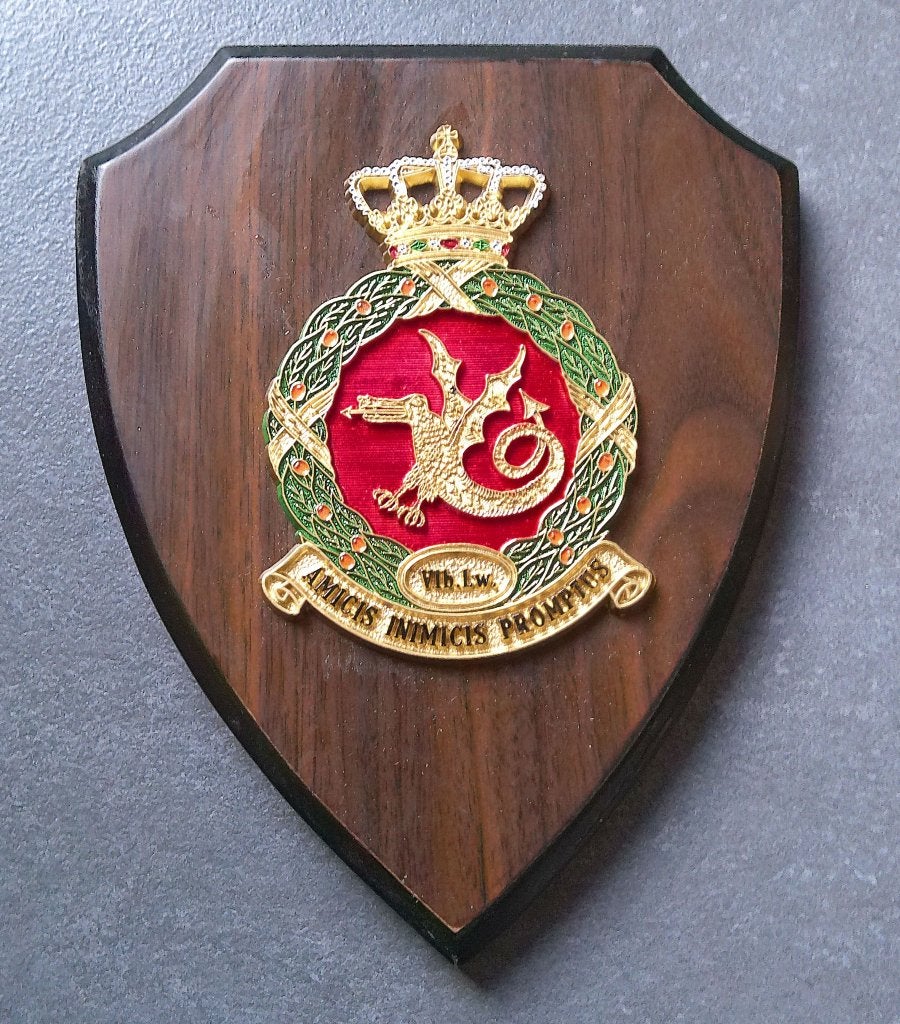 Wapenschild Koninklijke Luchtmacht Vliegbasis Leeuwarden, Verzenden, Luchtmacht, Nederland, Overige typen