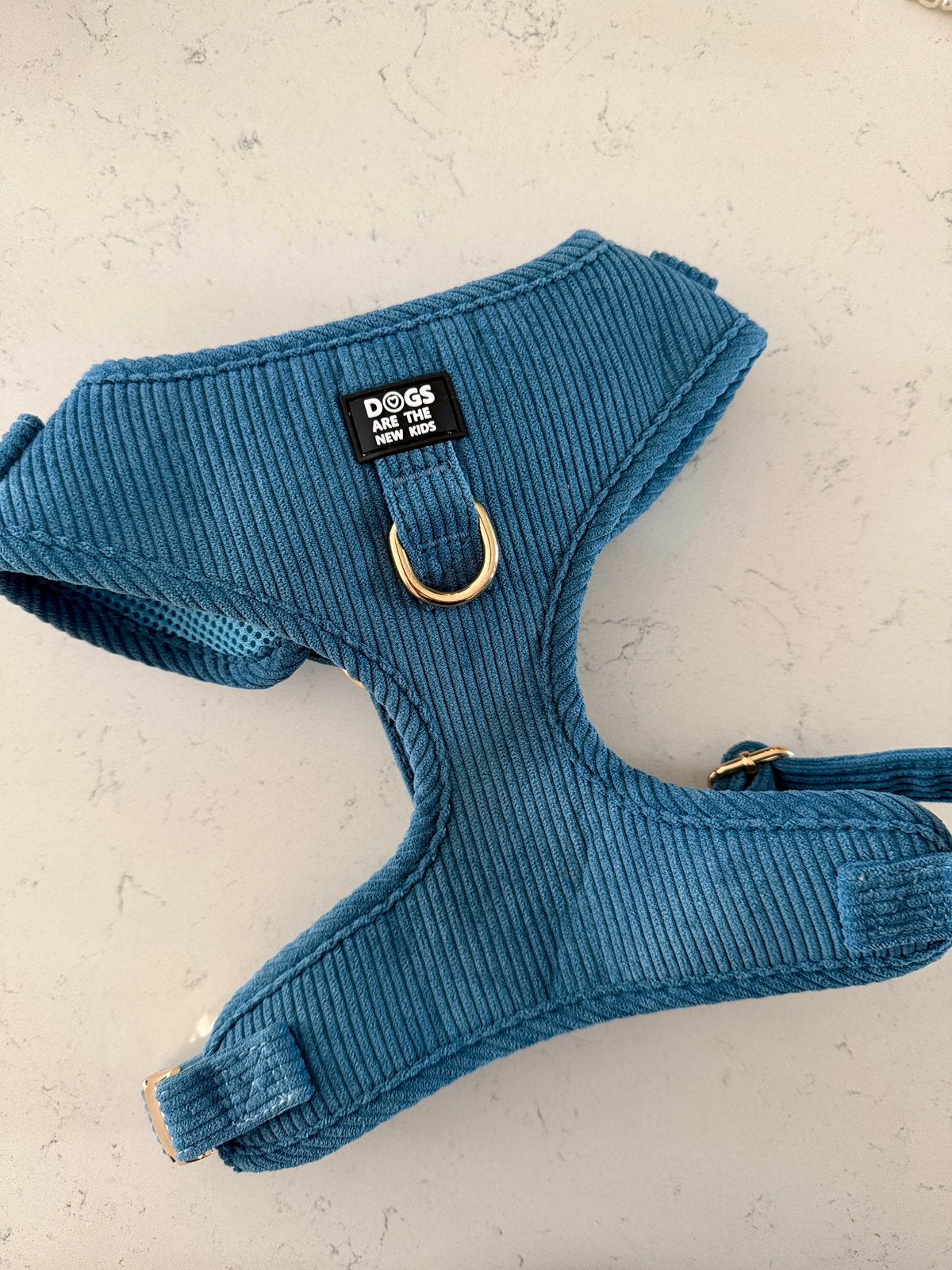 Dogs are the new kids Y-tuigje denim blauw, Ophalen of Verzenden, Nieuw