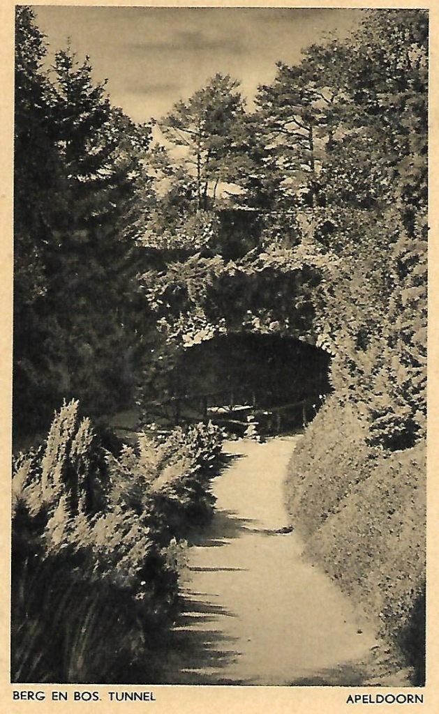 Apeldoorn- -Berg en Bos. Tunnel., Verzenden, 1940 tot 1960, Gelopen, Gelderland