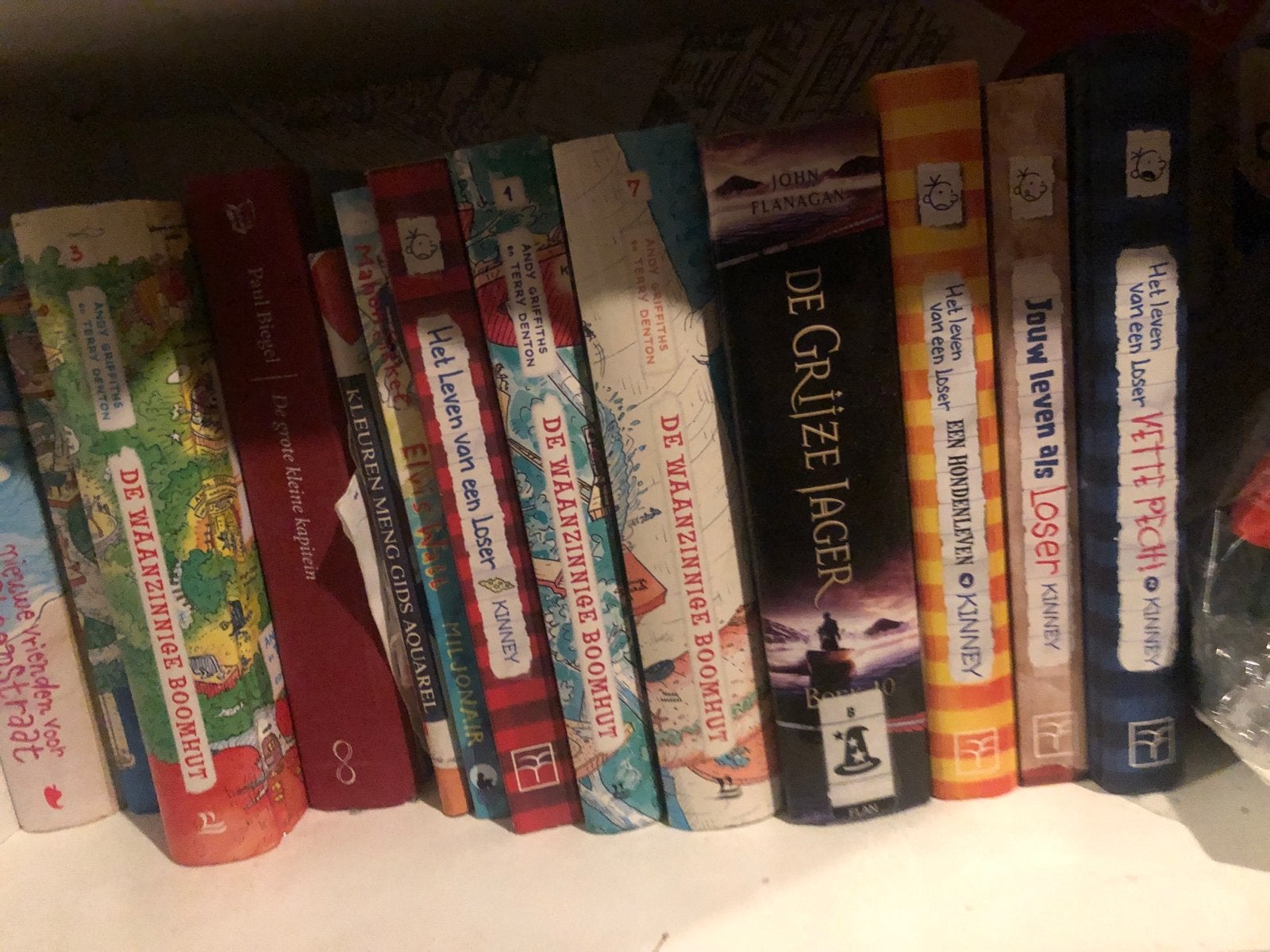 Diverse kinderboeken: De Waanzinnige Boomhut life of loser, Boeken, Ophalen, Gelezen, Fictie algemeen