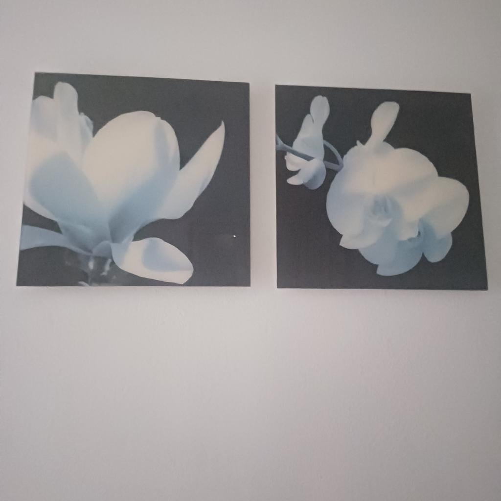 2 Schilderijen achter acrylglas - Bloemenmotief 50x50cm, Verzenden