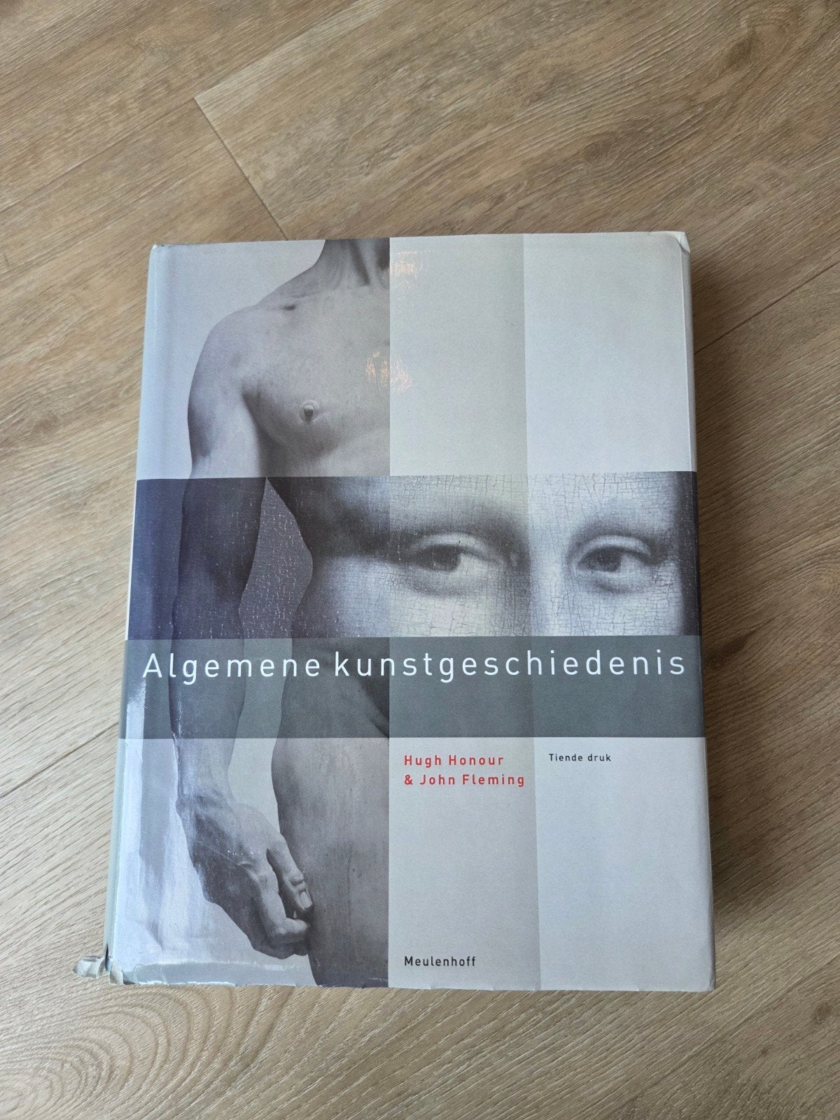 Algemene kunstgeschiedenis - Hugh Honour & John Fleming, Ophalen of Verzenden, Gelezen, Overige onderwerpen, Hugh Honour & John Fleming