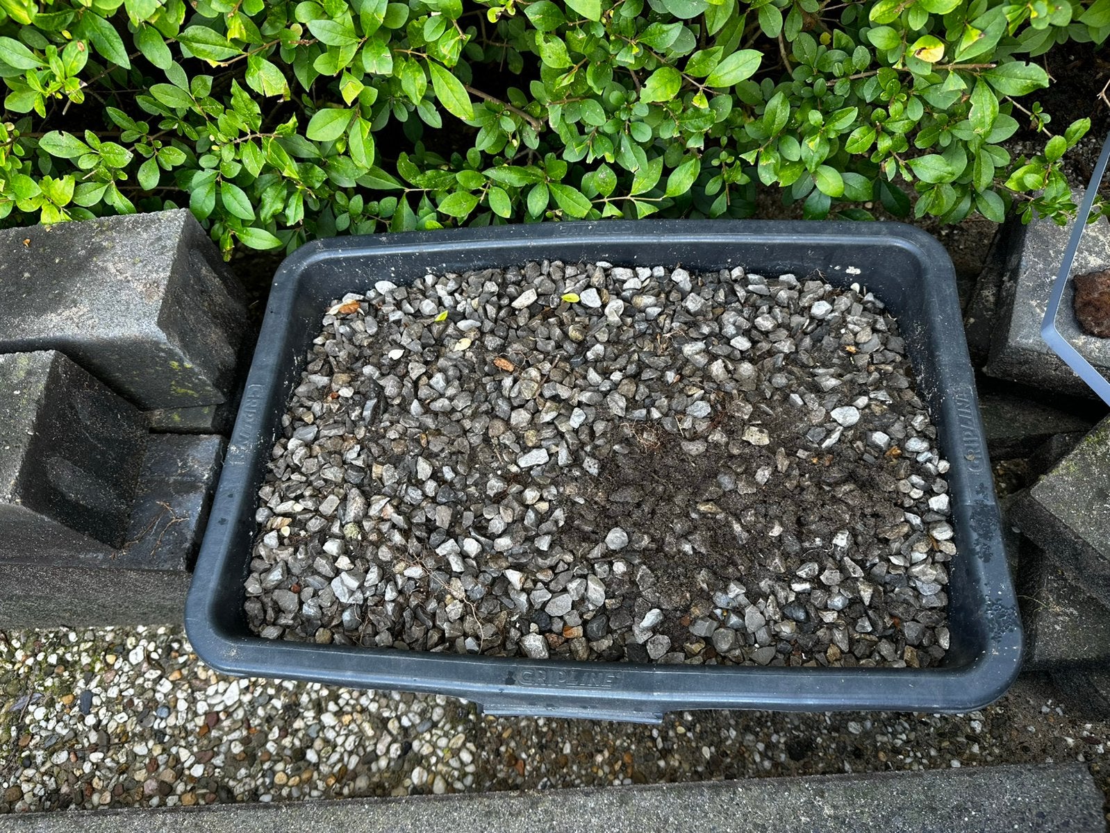 Kuip met split L52xB35xH27cm gratis af te halen, Tuin en Terras, Ophalen, Overige materialen, Gebruikt, Antraciet