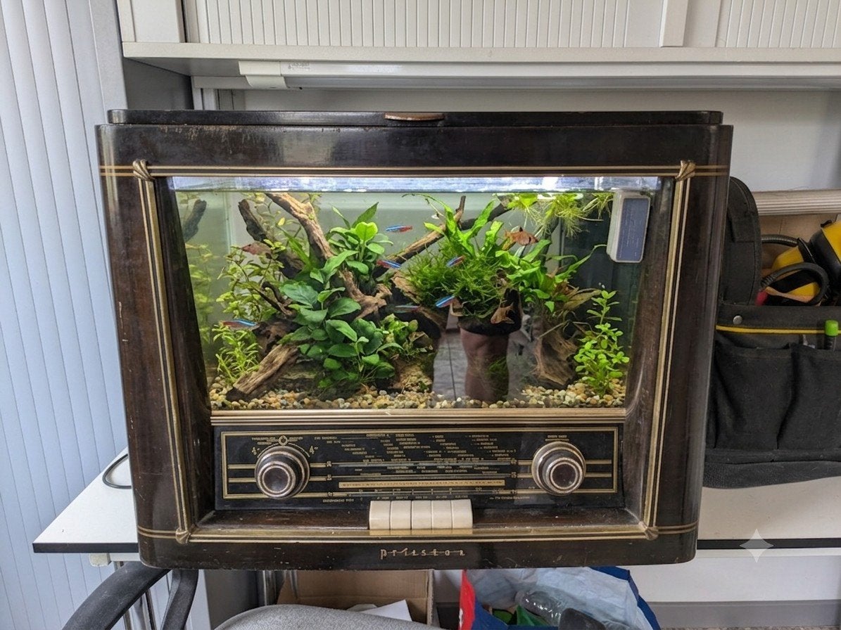 vintage radio aquarium, Vis, Zoetwatervis