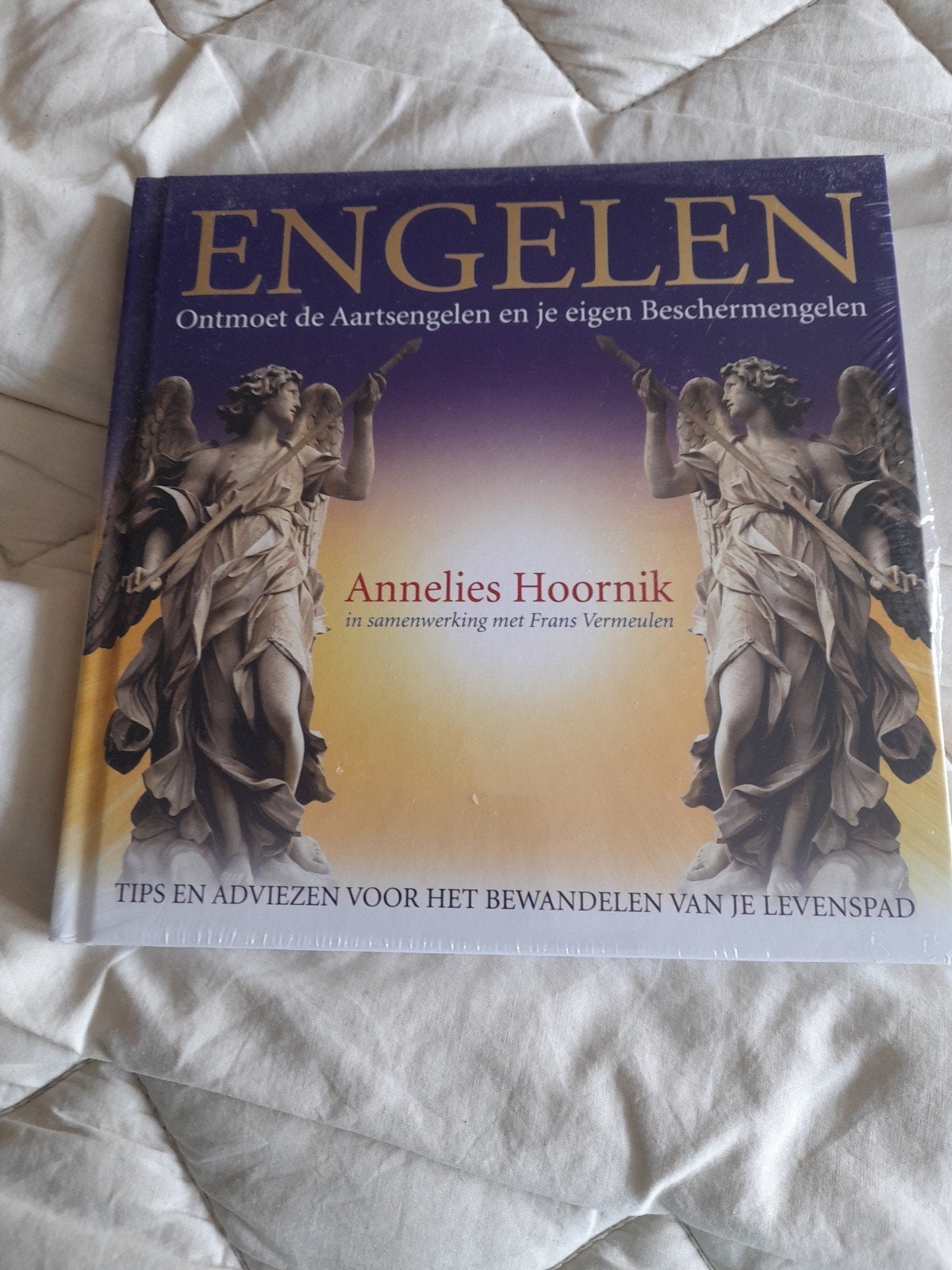 Engelen: Ontmoet de Aartsengelen en je eigen Beschermengelen, Achtergrond en Informatie, Spiritualiteit algemeen, Nieuw, Ophalen of Verzenden