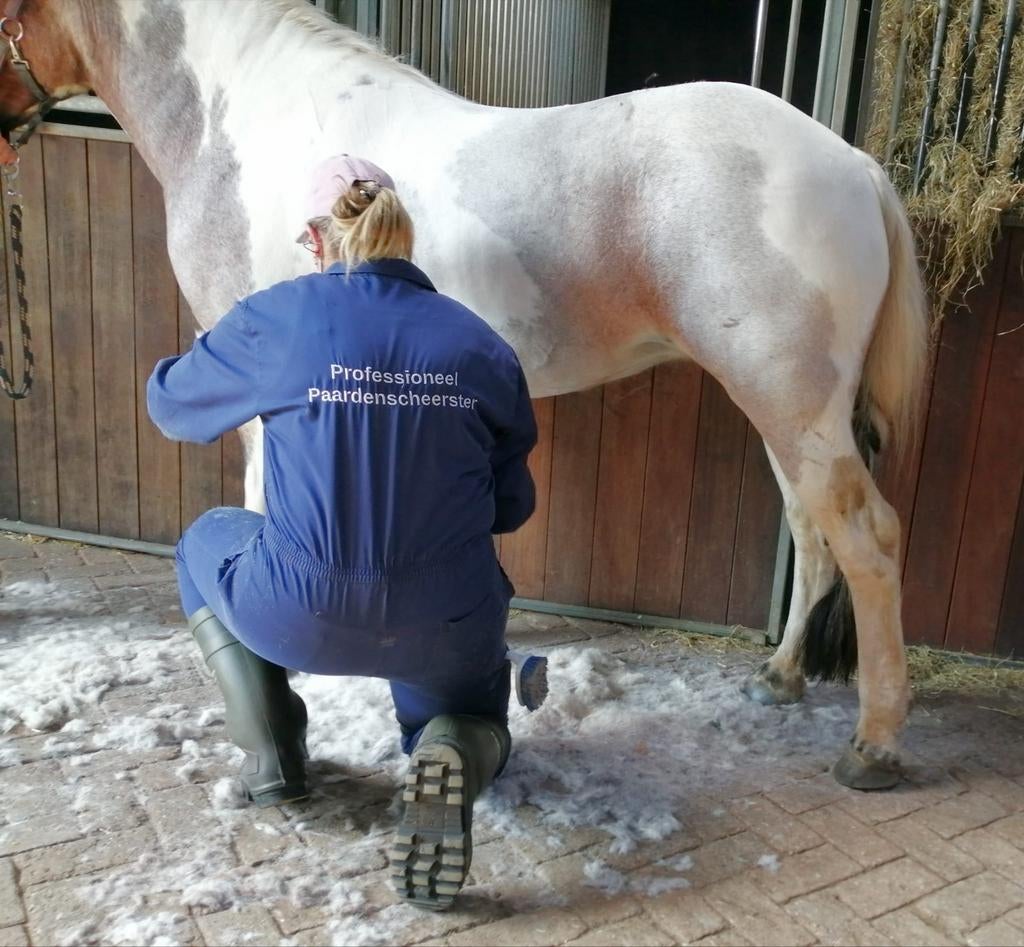 Paarden en pony's scheren, Dieren en Toebehoren, Ophalen, Nieuw
