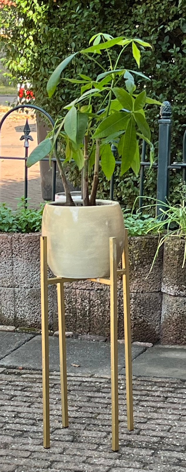 Plant, Ophalen, Zo goed als nieuw, Rond, Minder dan 30 cm