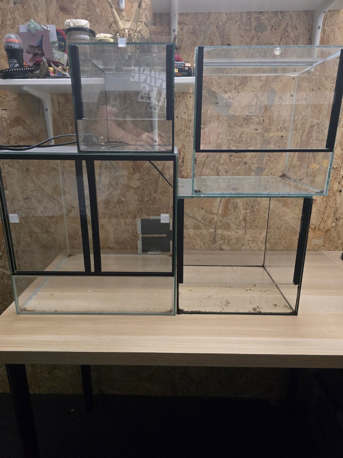 Terrariums, Dieren en Toebehoren, Ophalen, Gebruikt, Terrarium of Paludarium