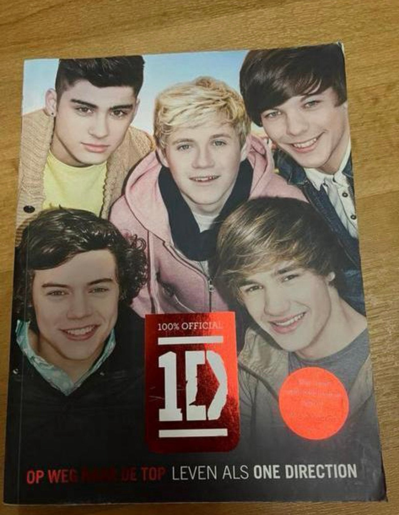 Boek One Direction Op Weg Naar De Top, Ophalen of Verzenden, Zo goed als nieuw, Artiest
