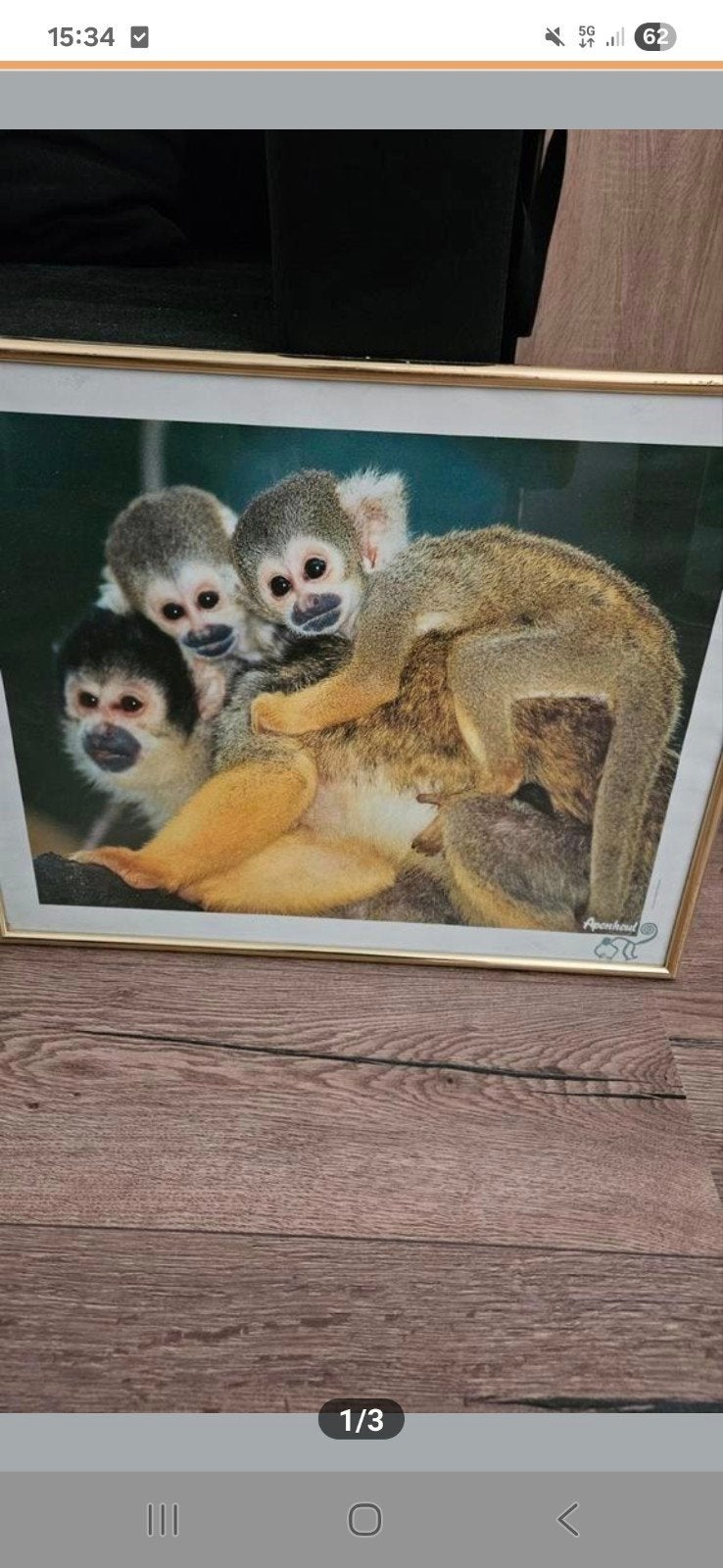 APENHEUL POSTERS MET OUDE LOGO EROP, Ophalen, Zo goed als nieuw, Schilderij