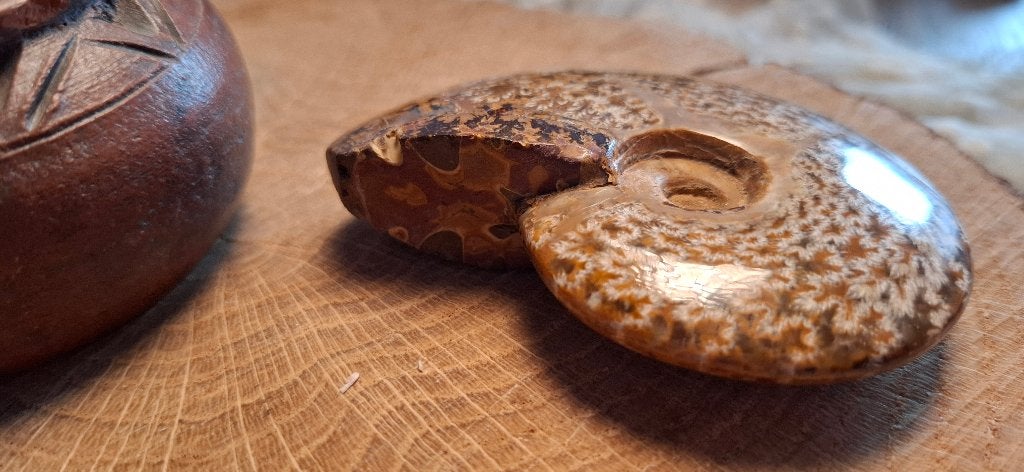 Grote Gepolijste Ammoniet (Fossiel)9,5 cm Unieke Patronen, Ophalen of Verzenden, Fossiel
