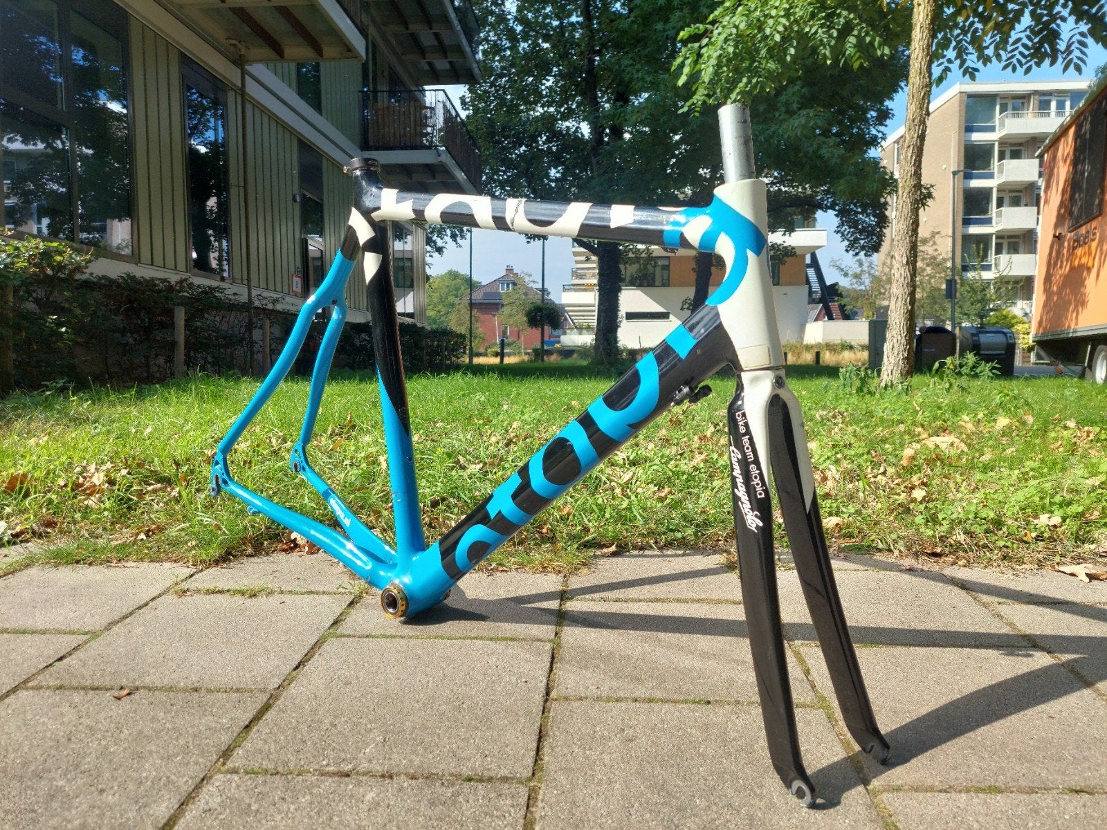 Custom Gespoten Carbon Frame (Schade) 60cm - Voorvork intact, Fietsen en Brommers, Ophalen, Frame, Gebruikt, Racefiets