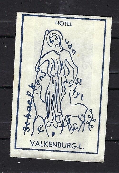 565 Valkenburg hotel SCHAEPKENS, Verzamelen, Ophalen of Verzenden, Nederland