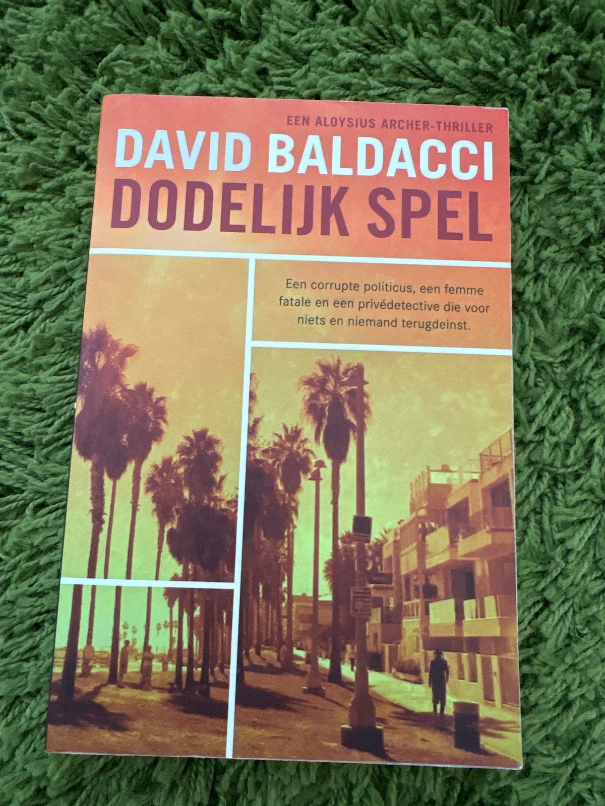 David Baldacci - Dodelijk Spel (Aloysius Archer-thriller), Ophalen of Verzenden, Gelezen, Europa overig