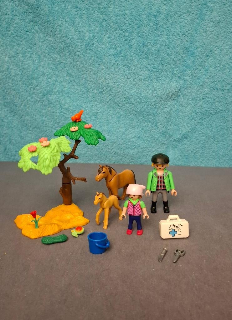 Playmobil 6949 Dierenarts met pony’s, Kinderen en Baby's, Speelgoed | Playmobil, Ophalen, Gebruikt, Los playmobil