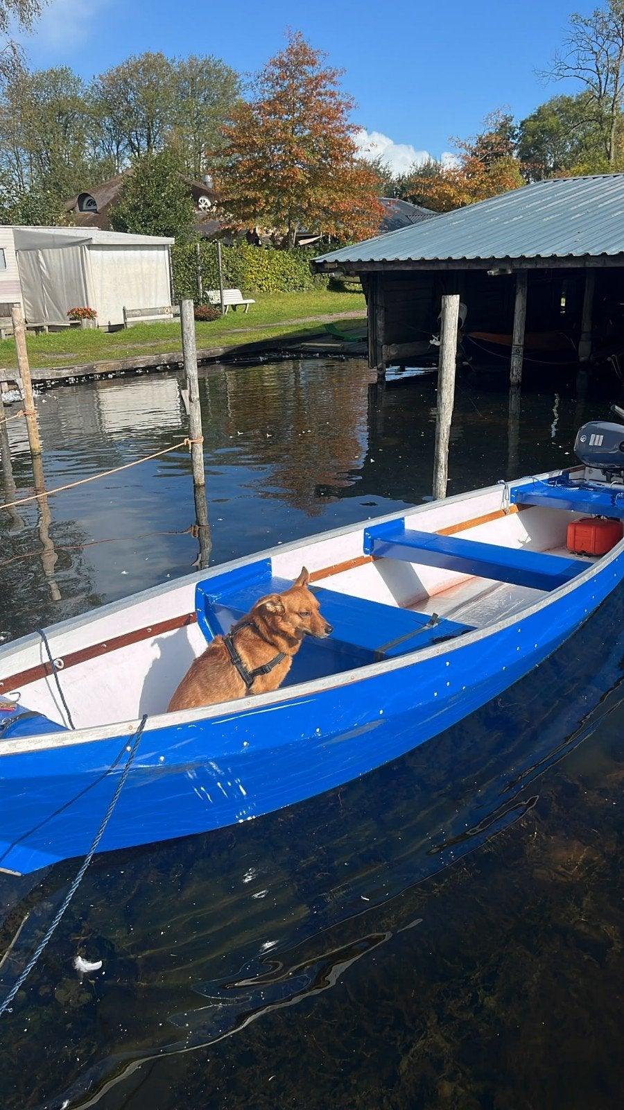 punter, Ophalen, Gebruikt