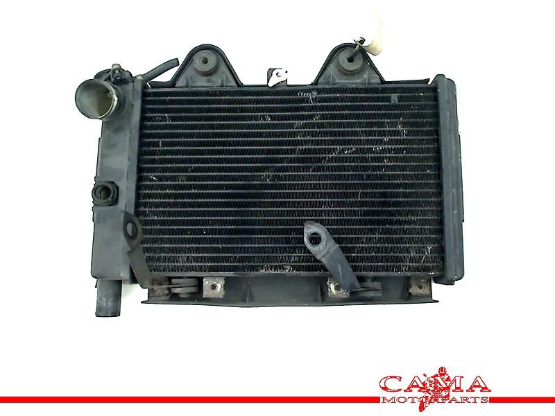 Radiateur Triumph Trophy 900 1996-2003 (1996-01/2003-12), Gebruikt, P.J. Troelstraweg 8, MAASSLUIS 3144 CX, Zuid Holland, , Nederland