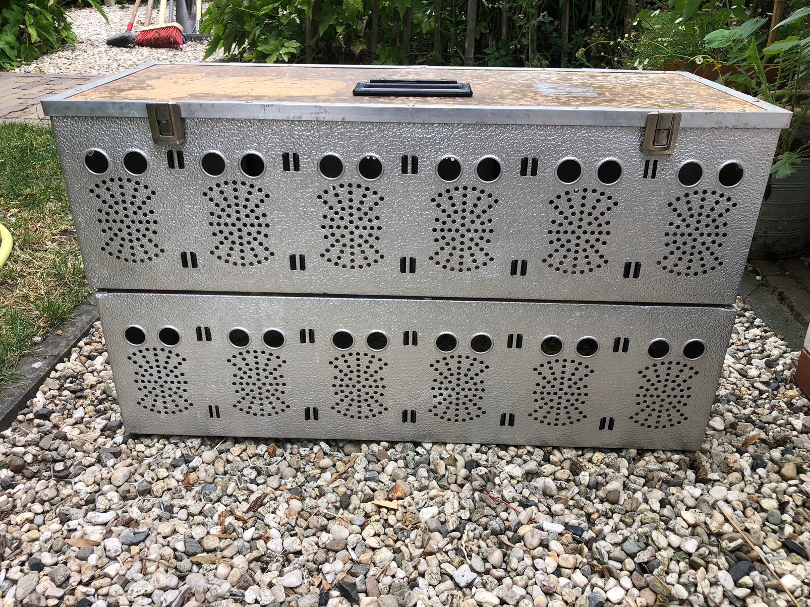 Aluminium 12 vaks duivenmand € 45, Mannelijk, Postduif