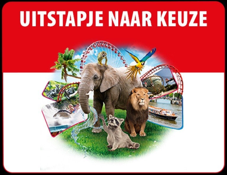 4x Tickets Uitstapje naar keuze, Tickets en Kaartjes, Drie personen of meer, Ticket of Toegangskaart