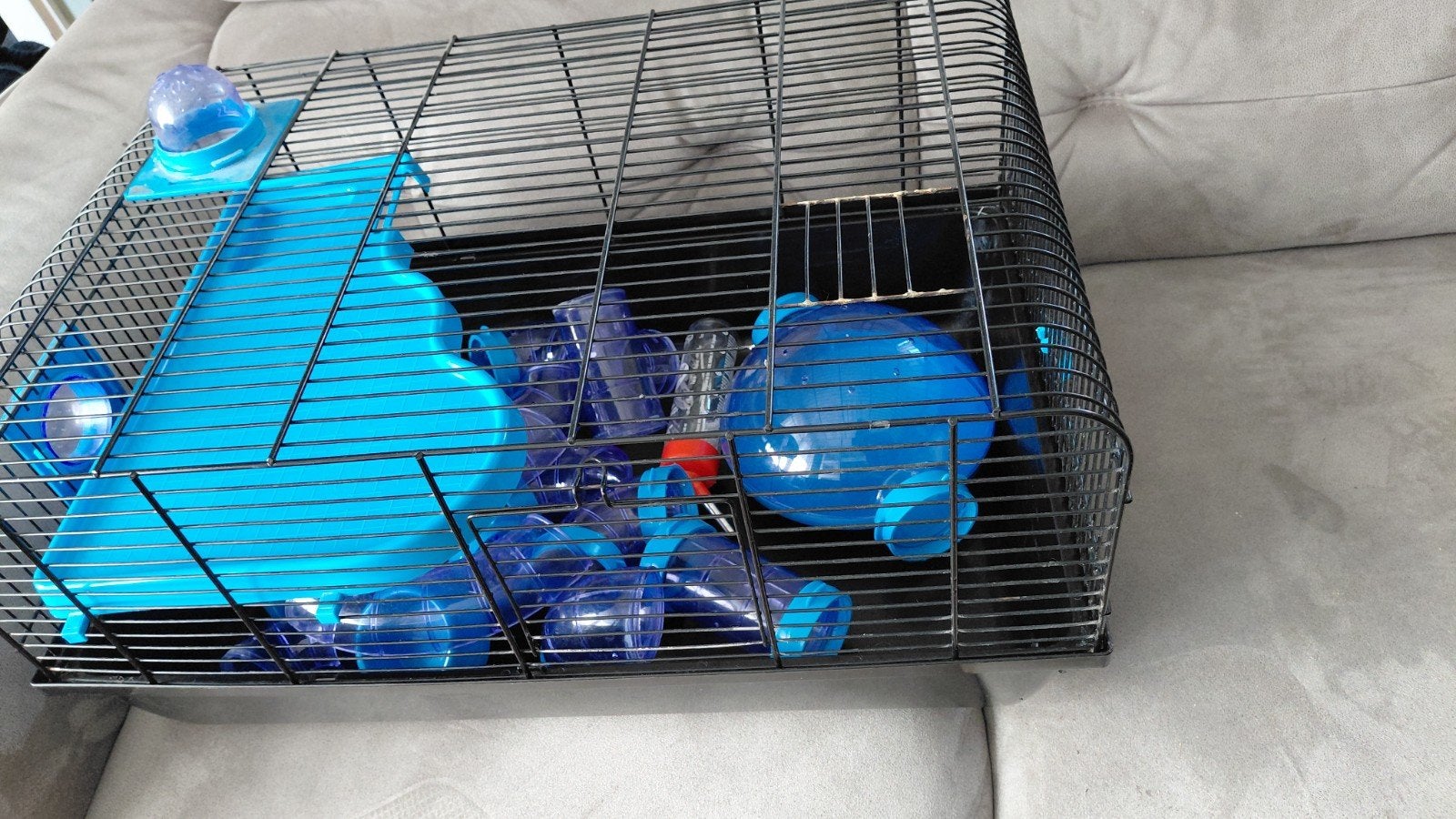 Dwerghamster kooi met toebehoren, Kooi, Gebruikt, Minder dan 75 cm, Hamster