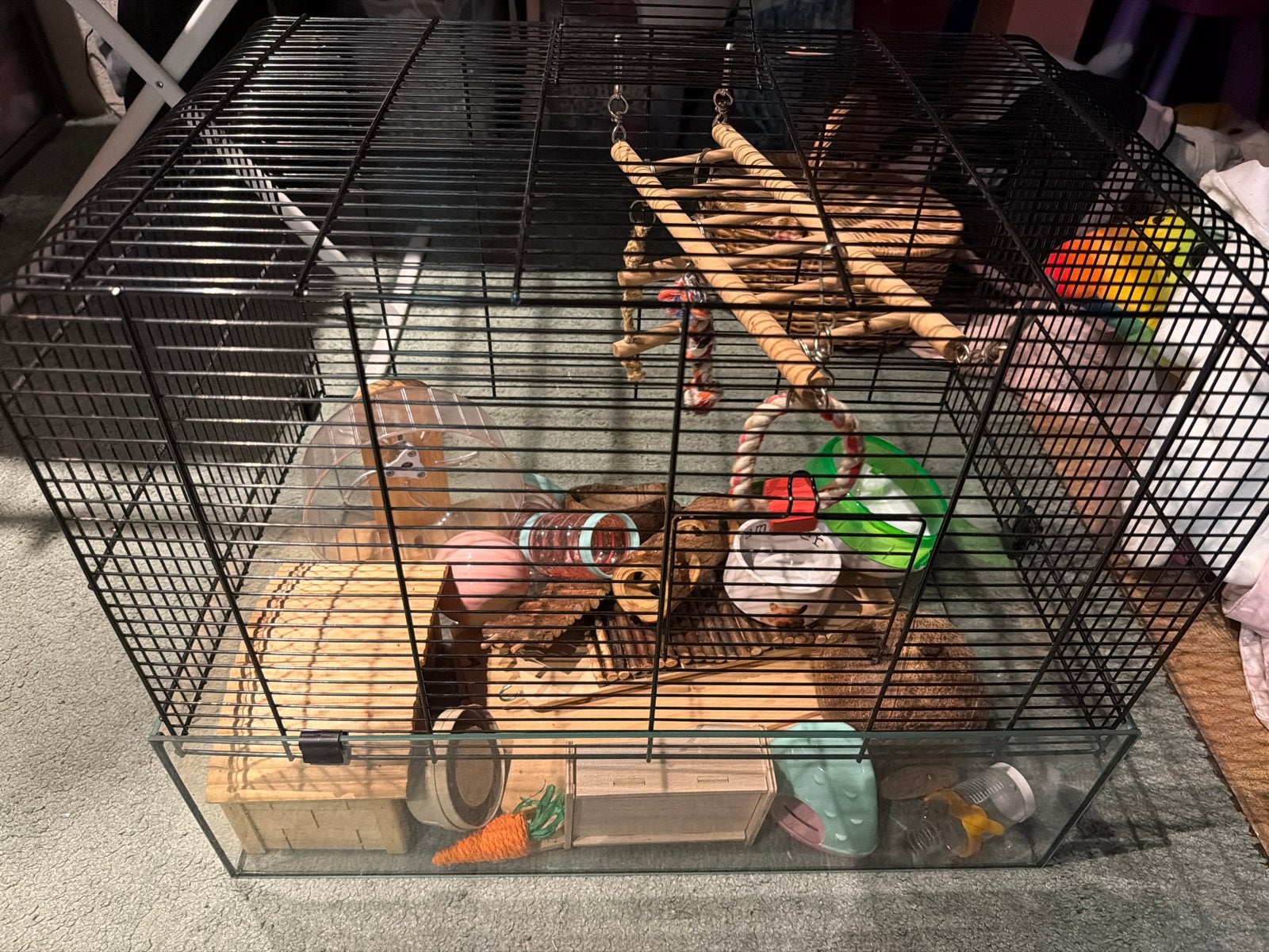 Hamsterkooi (2) zwart/glas met heel veel spullen, Ophalen, Zo goed als nieuw