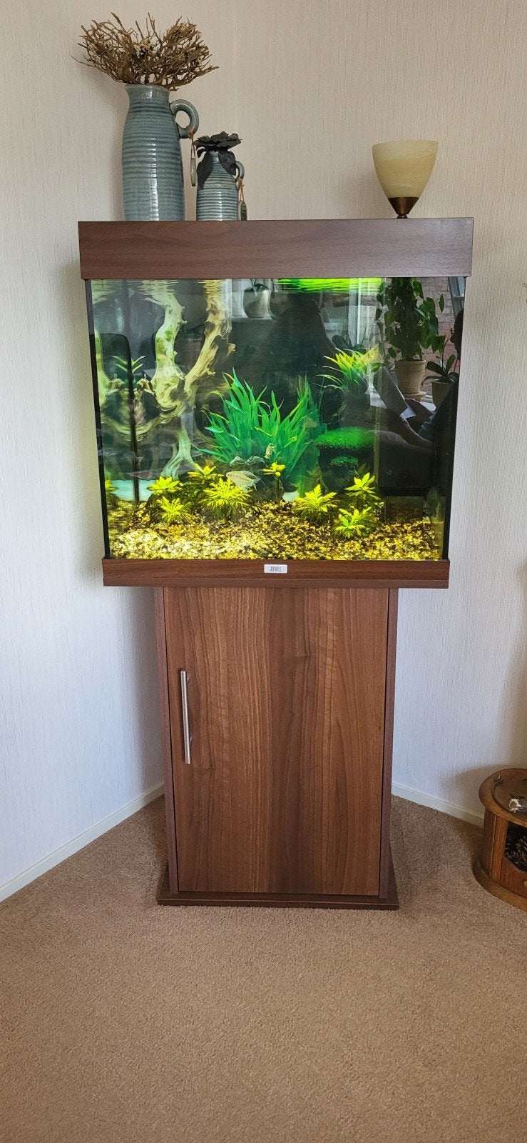 juwel aquarium, Dieren en Toebehoren, Ophalen, Gebruikt, Gevuld zoetwateraquarium, Inclusief vissen