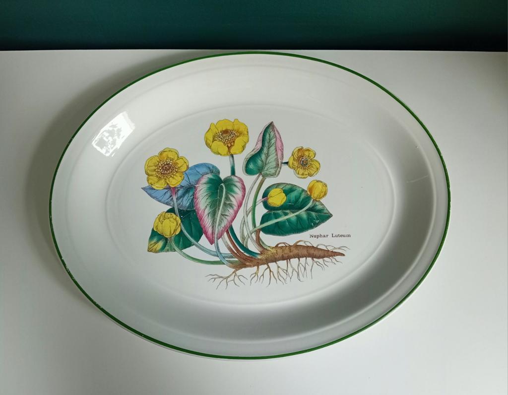 Grote schaal Florabunda Enoch Wedgwood, Ophalen of Verzenden