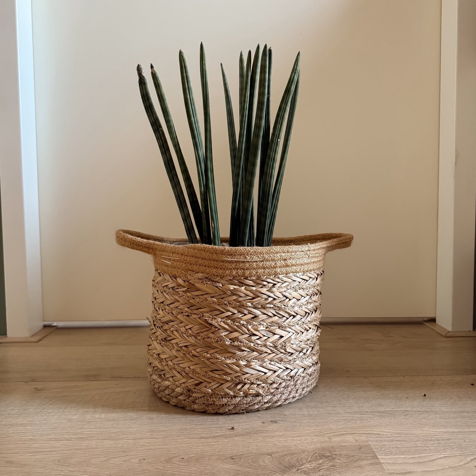 ZEEGRAS PLANTENMAND Ø26 cm met Plastic Binnenlaag, Ophalen, Zo goed als nieuw, Rond, Riet