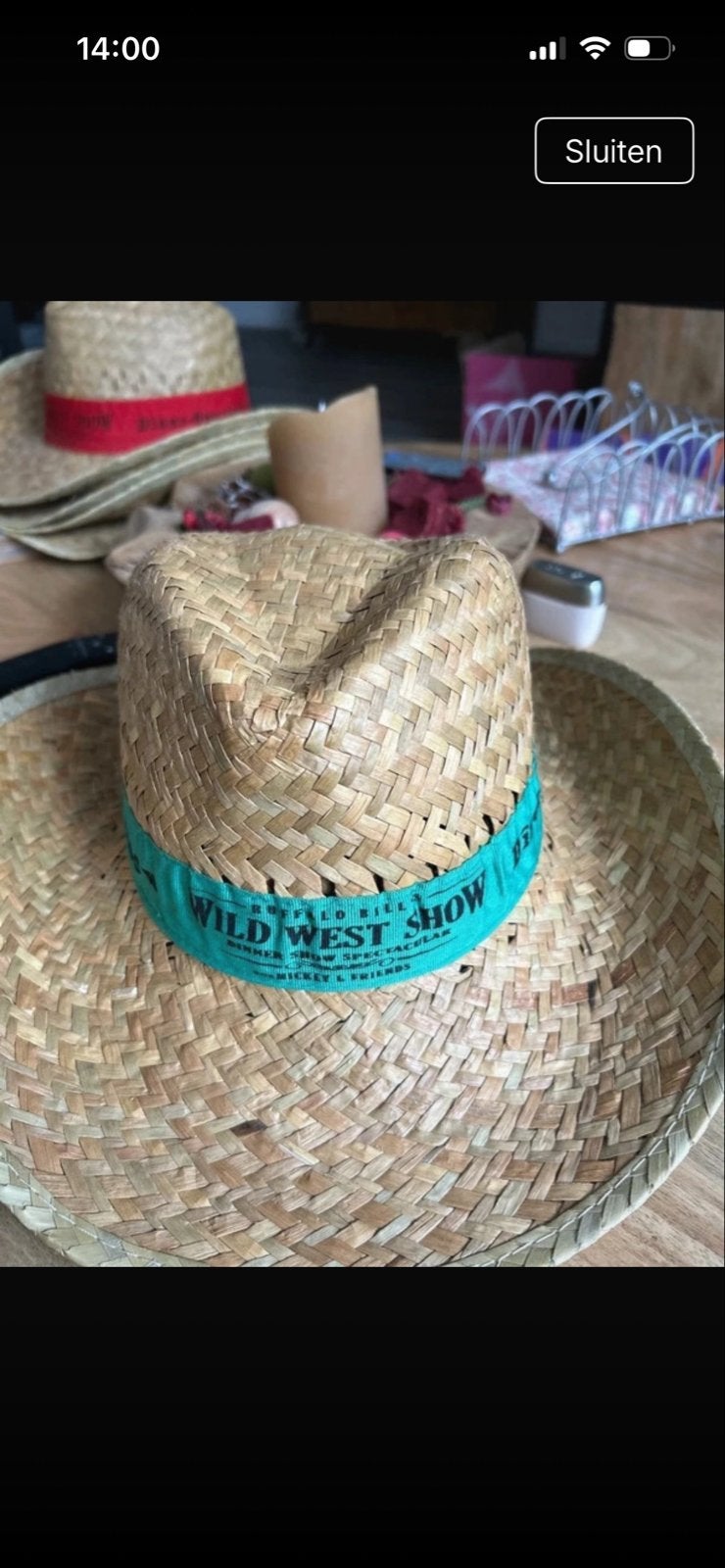 Originele Disney Parijs Wild West Show Cowboyhoed, Ophalen of Verzenden, Gedragen, One size fits all, Hoed
