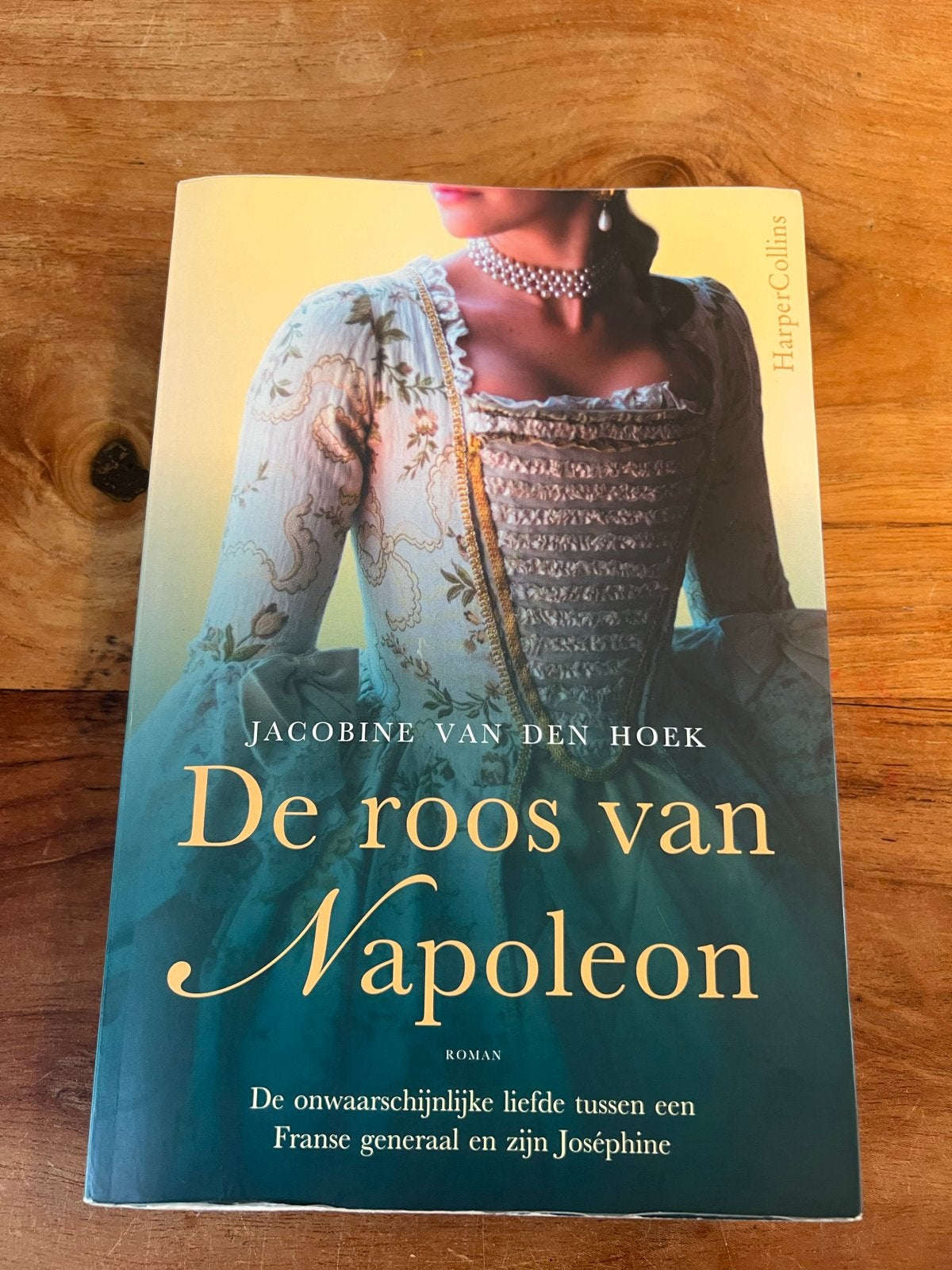 De Roos van Napoleon - Jacobine van den Hoek, Ophalen of Verzenden, Zo goed als nieuw, Nederland