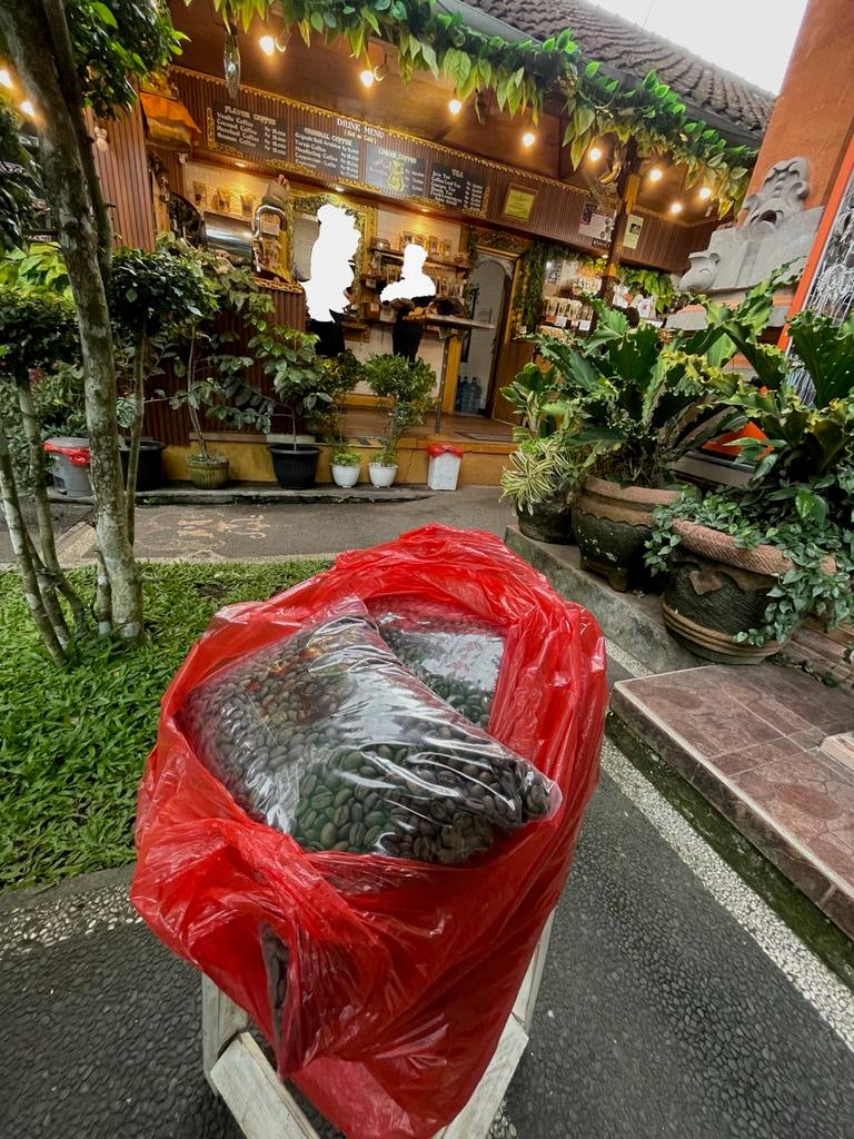 Echte gecertificeerde Luwak Koffiebonen uit Bali, Ophalen of Verzenden