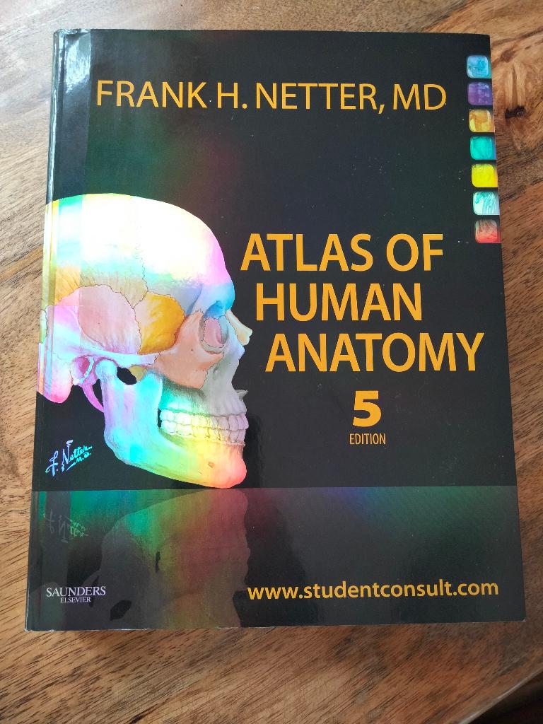 Atlas of Human Anatomy 5th edition Netter, Ophalen of Verzenden, Beta, Nieuw, WO