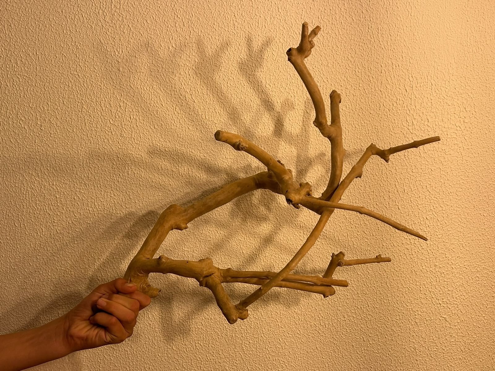 4 grote java hout zit stokken voor de vogel /kleine papagaai, Dieren en Toebehoren, Ophalen of Verzenden, Zo goed als nieuw, Kooi-accessoires