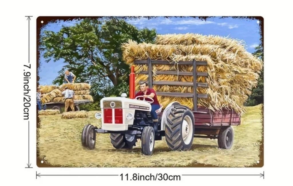David Brown Selectamatic 880 met hooiwagen metalen wandbord, Ophalen of Verzenden