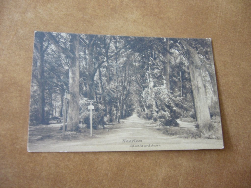 HAARLEM  =  SPANJAARDSLAAN, Ophalen of Verzenden, 1920 tot 1940, Ongelopen, Noord-Holland