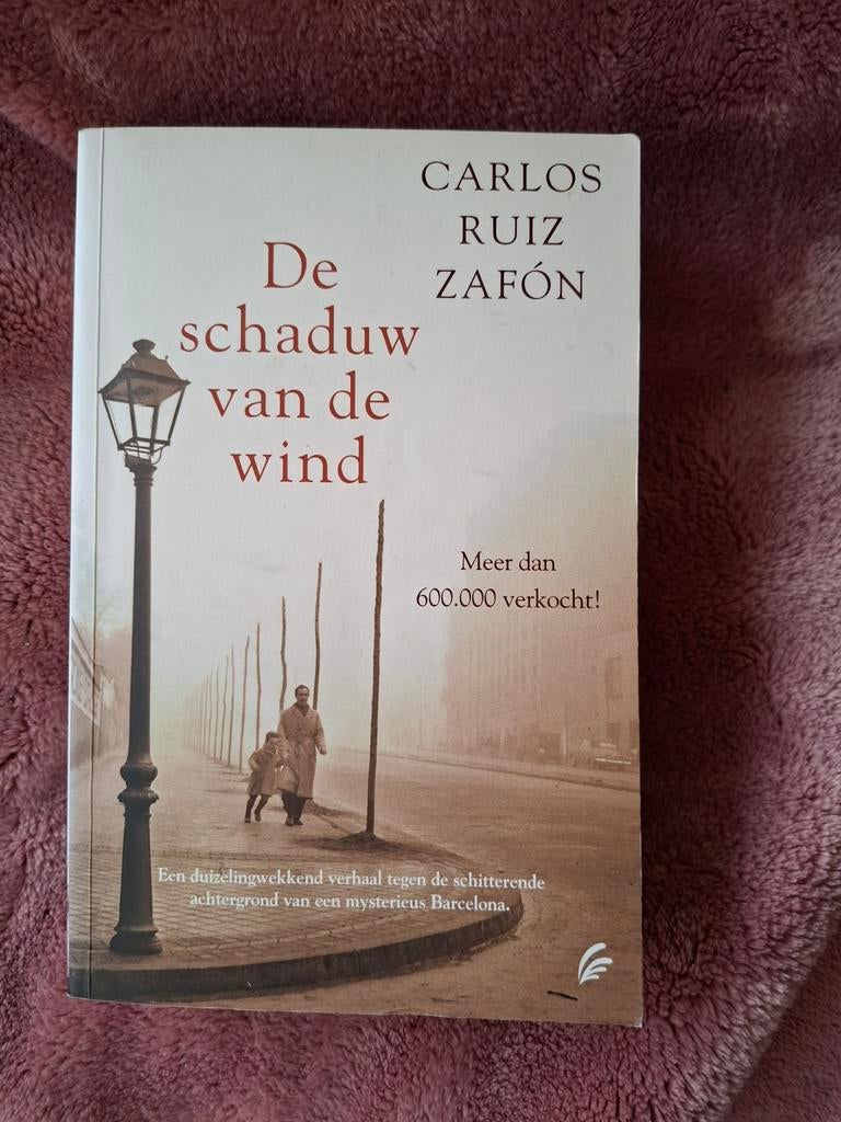 De schaduw van de wind - Carlos Ruiz Zafón, Ophalen of Verzenden, Gelezen, Carlos Ruiz Zafón, Nederland
