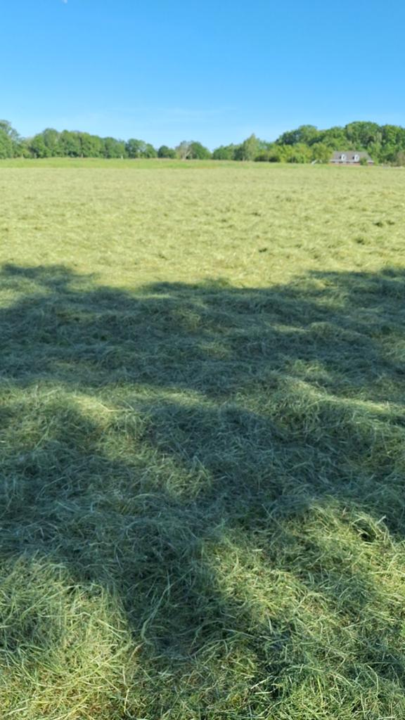 Kleine balen hooi te koop, Zakelijke goederen, Agrarisch | Veevoer, Ophalen of Verzenden
