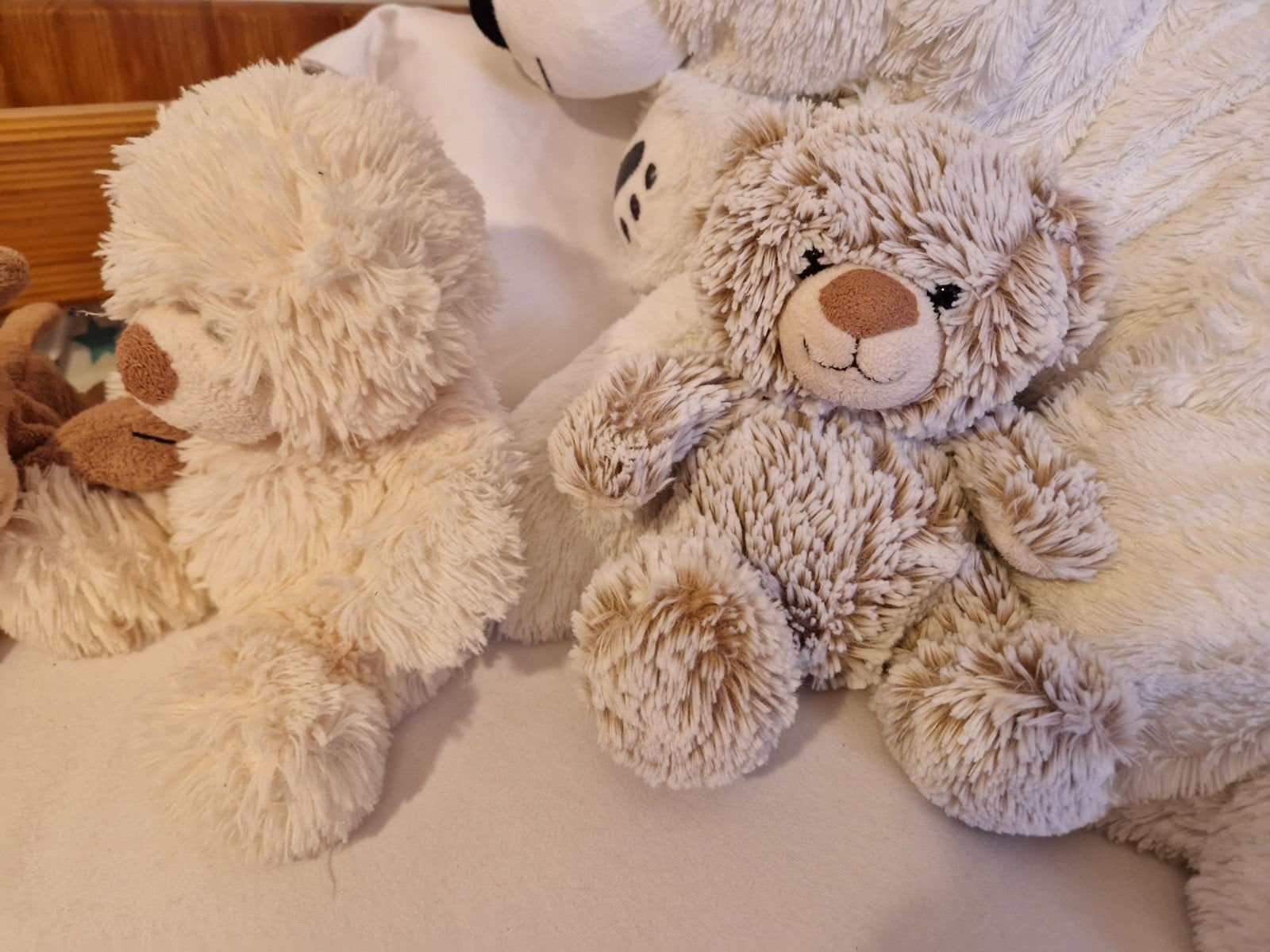 Knuffelberen en knuffelhondje, Ophalen