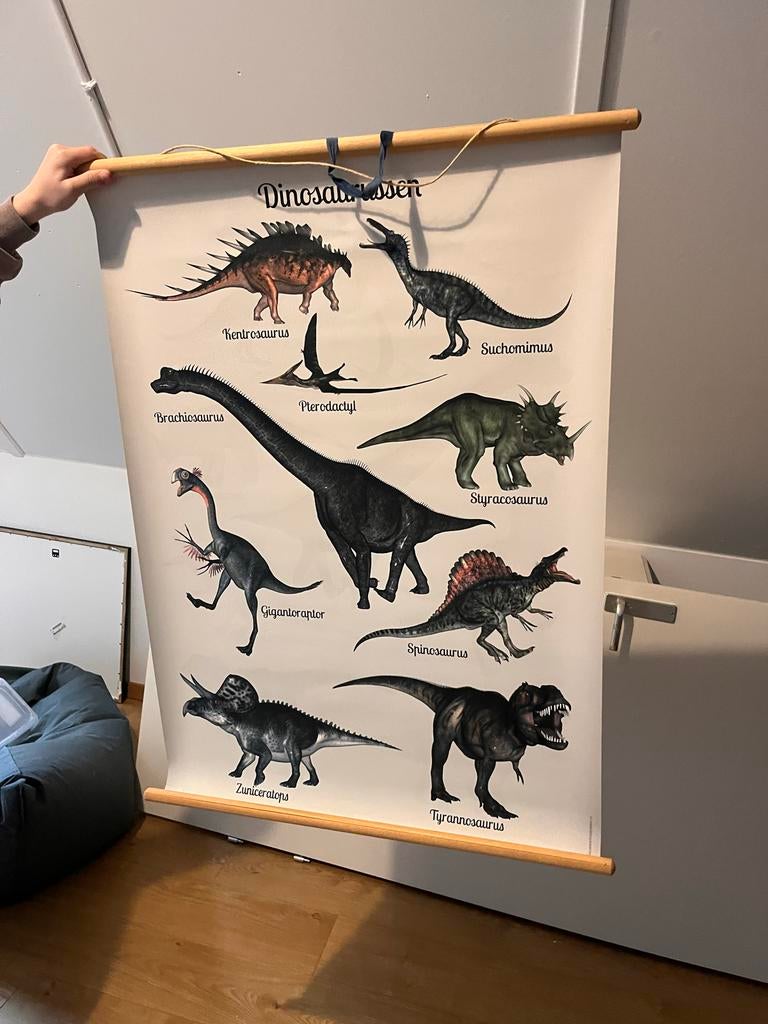 Dinosaurus poster, Ophalen of Verzenden, A1 t/m A3, Dier of Natuur, Rechthoekig Staand